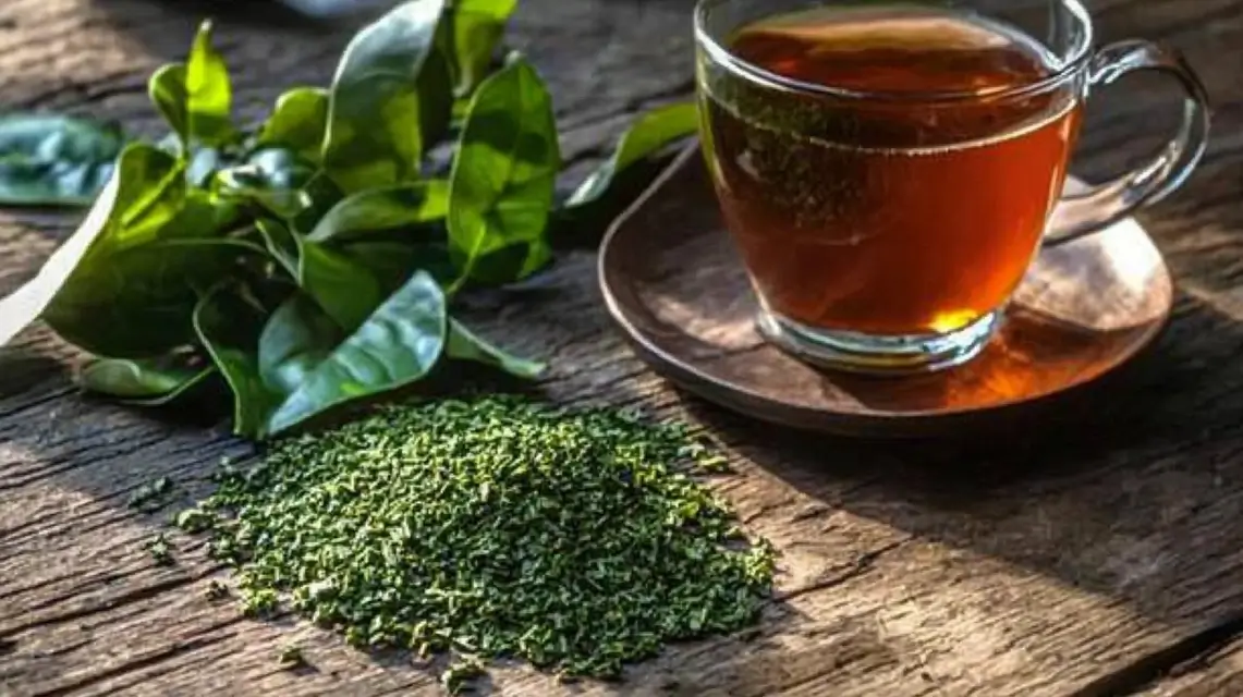 Traditional yerba mate tea served in a gourd with a bombilla.